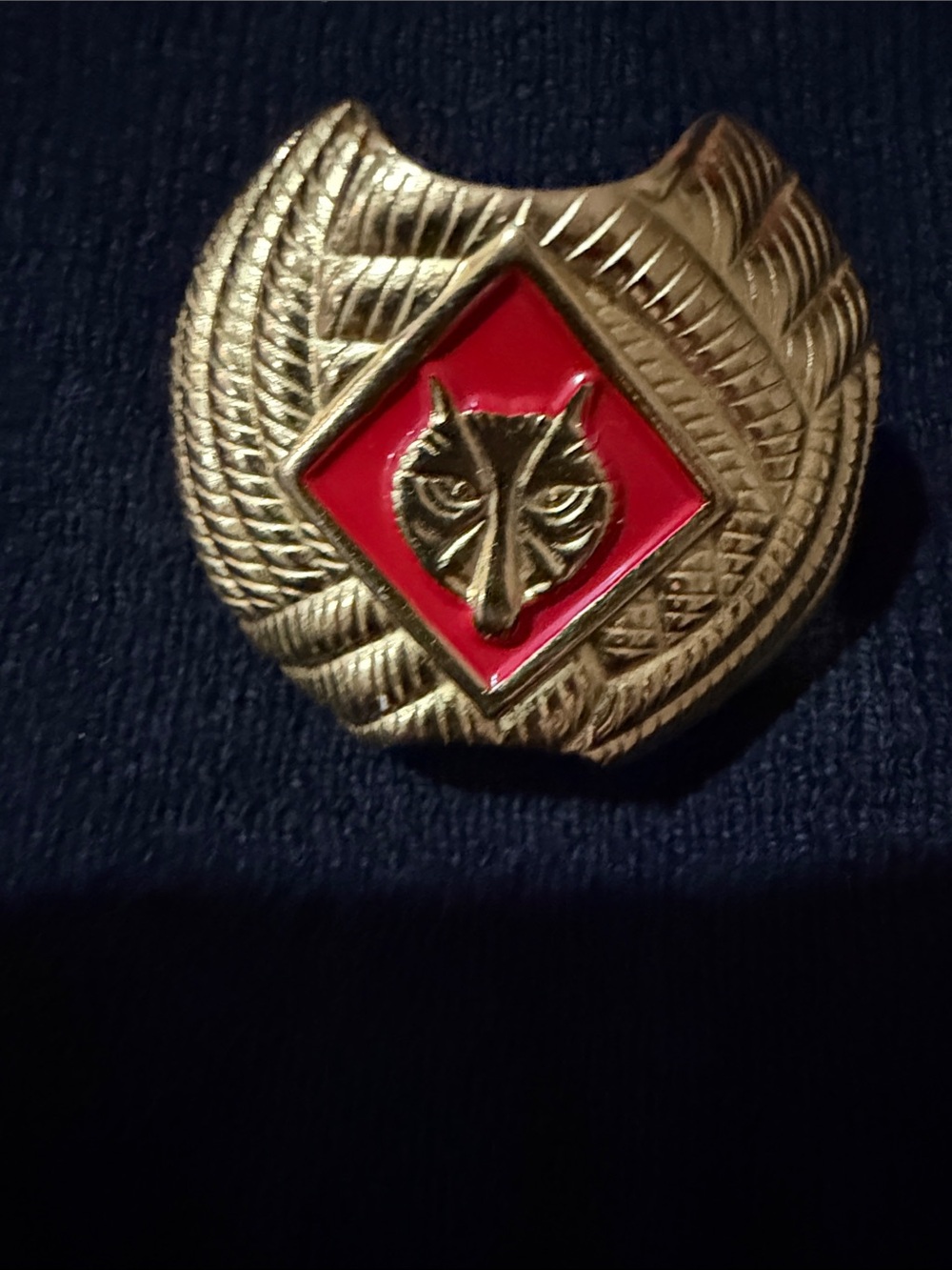 Cub Scout Gold Tone Wolf Emblem neckerchief slide with red accent for Boy Scouts